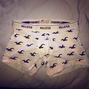 Men’s Hollister Trunks - Size Large